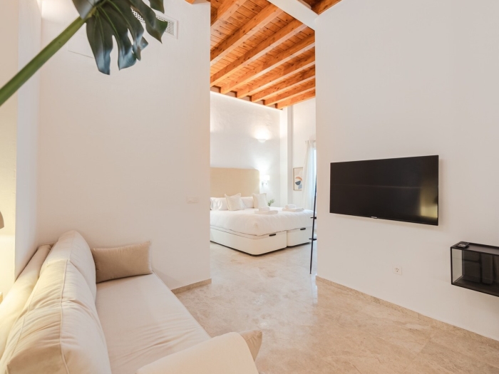 image ISG apartments: Puerta Jerez Sevilla 0.1 16